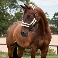 Ajuste Suave Cabezada De Cuadra
